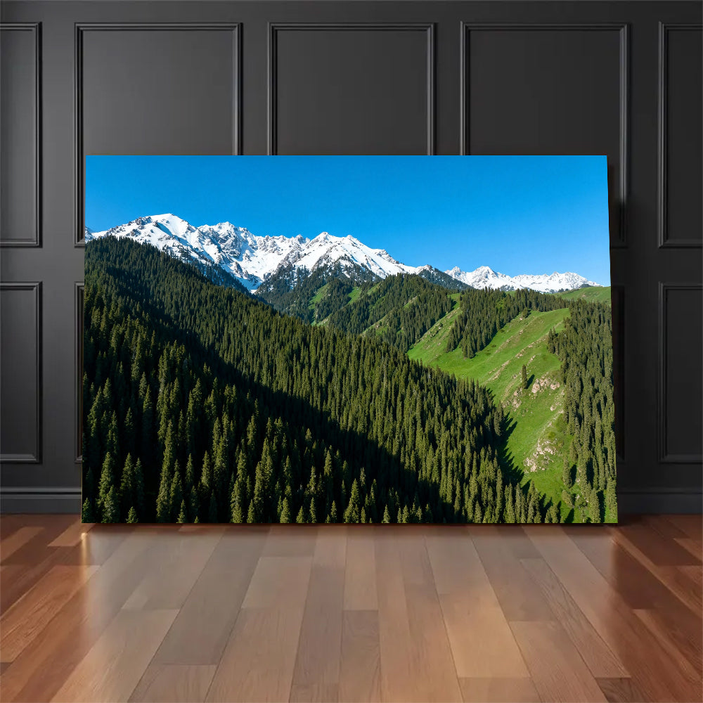 Alpine Forest Skyline canvas wall art, floor display against a dark wall.