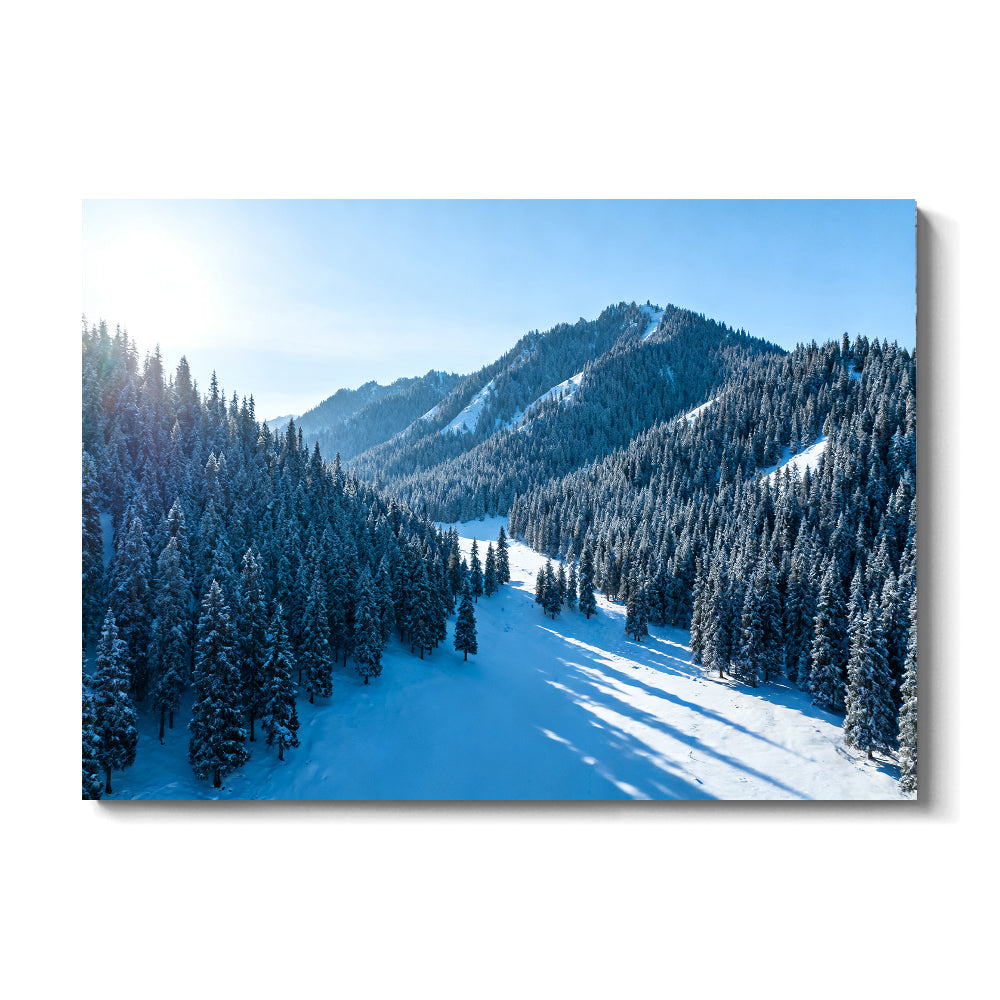 Snowy Woodland Valley canvas wall art, front view on a white background.