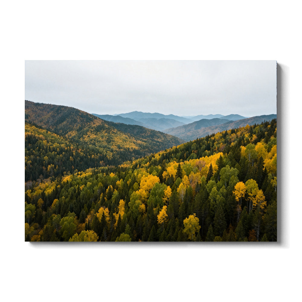 Autumn Canopy Vista canvas wall art, front view on a white background.