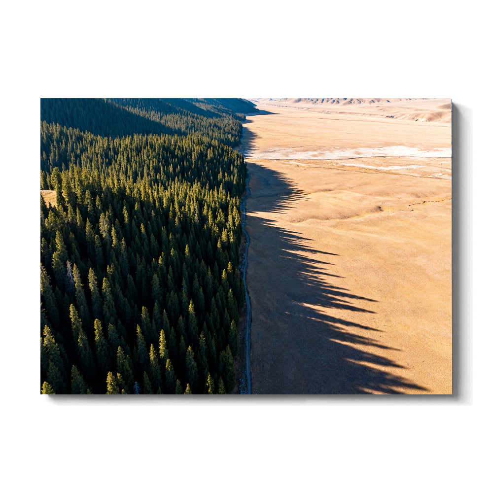 Forest Meets Sand canvas wall art, front view on a white background.