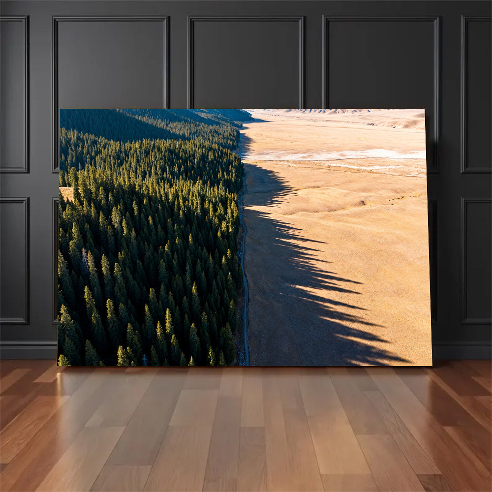 Forest Meets Sand canvas wall art, floor display against a dark wall.