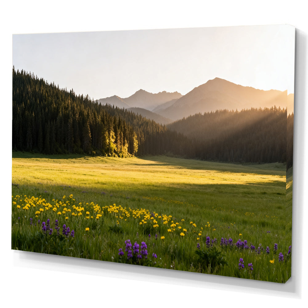 Sunlit Wildflower Clearing canvas wall art, angled canvas mockup on a white background.