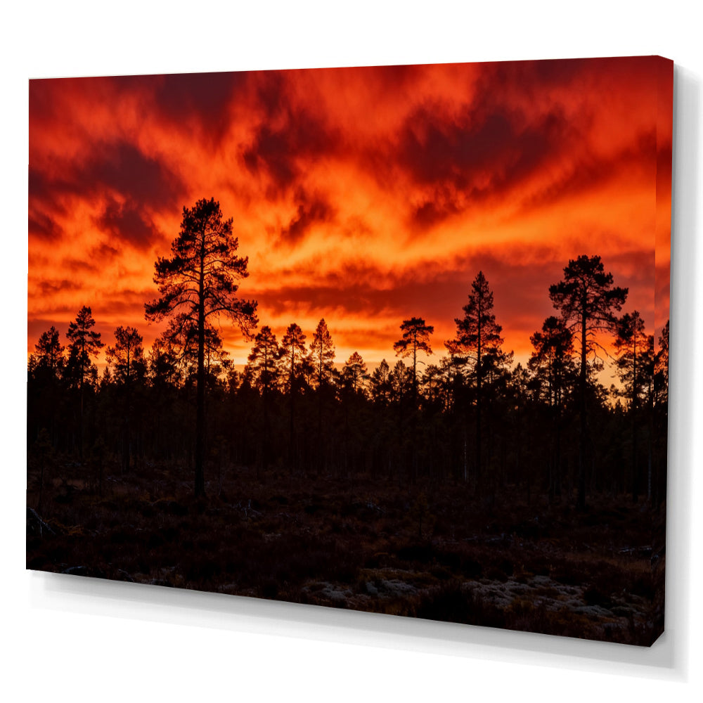 Fiery Pine Horizon canvas wall art, angled canvas mockup on a white background.