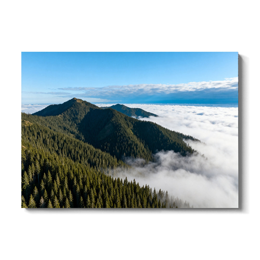 Above the Cloud Forest canvas wall art, front view on a white background.