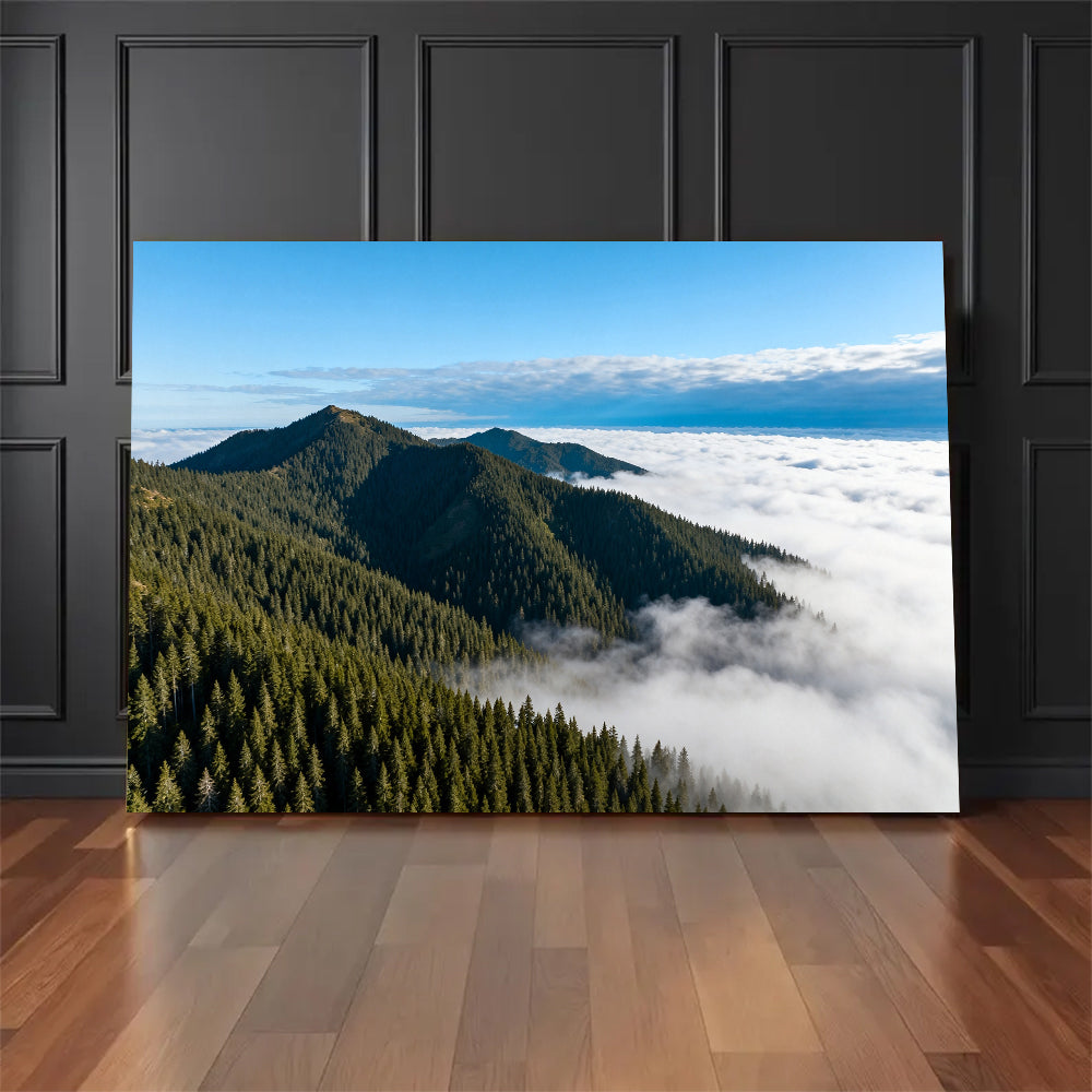 Above the Cloud Forest canvas wall art, floor display against a dark wall.