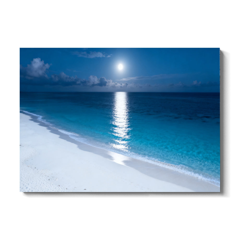 Moonlit Tropical Shore canvas wall art, front view on a white background.