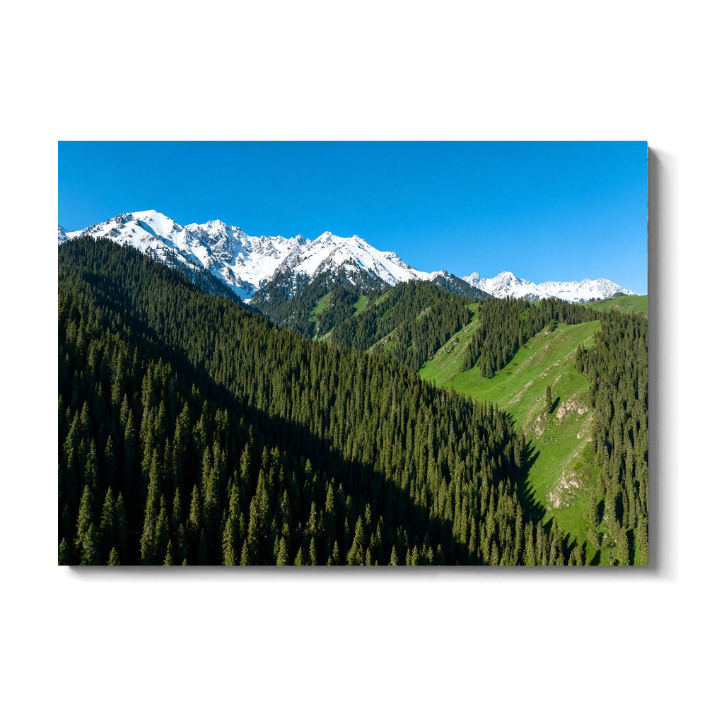 Alpine Forest Skyline canvas wall art, front view on a white background.