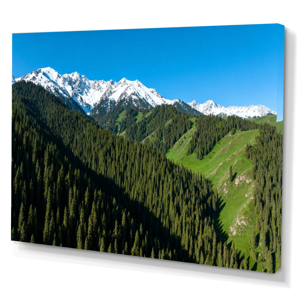 Alpine Forest Skyline canvas wall art, angled canvas mockup on a white background.