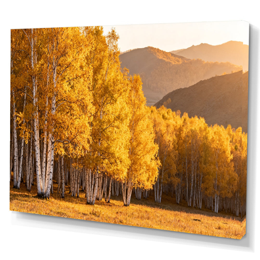 Golden Birch Grove canvas wall art, angled canvas mockup on a white background.