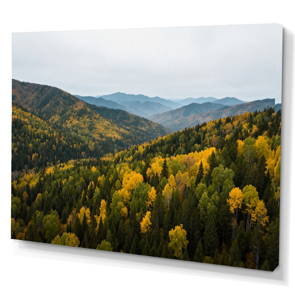 Autumn Canopy Vista canvas wall art, angled canvas mockup on a white background.