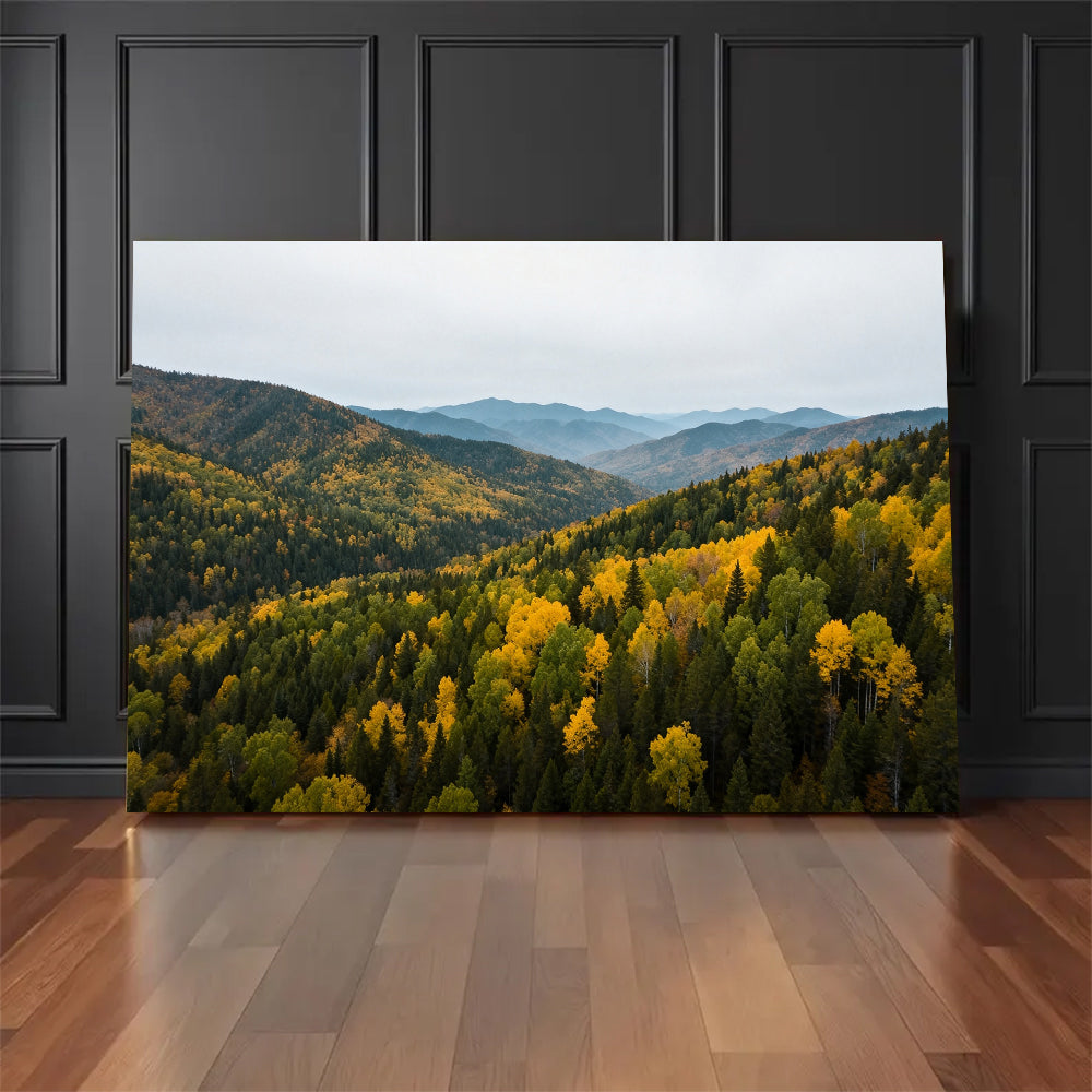 Autumn Canopy Vista canvas wall art, floor display against a dark wall.