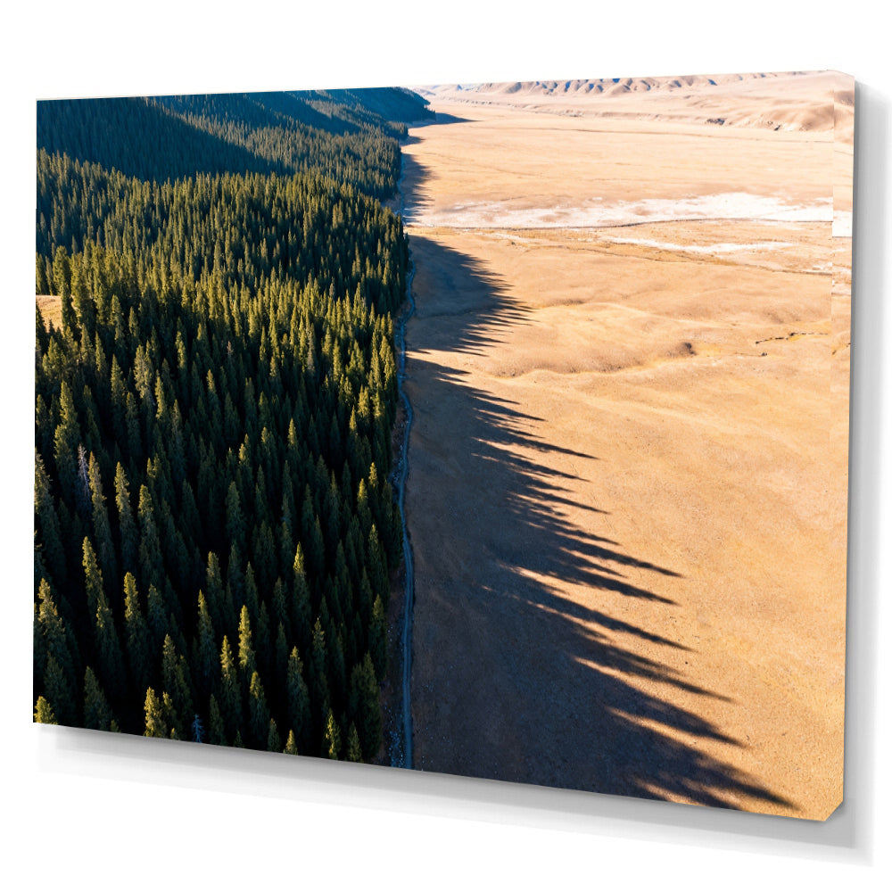 Forest Meets Sand canvas wall art, angled canvas mockup on a white background.