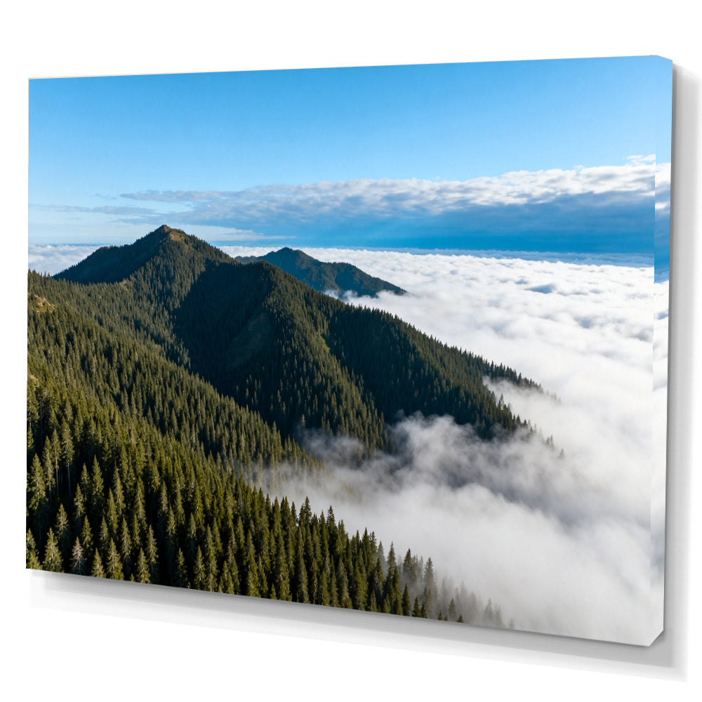 Above the Cloud Forest canvas wall art, angled canvas mockup on a white background.