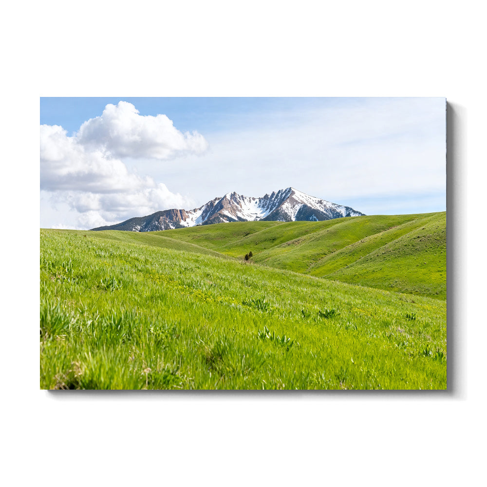 Green Meadow Ridges canvas wall art, front view on a white background.