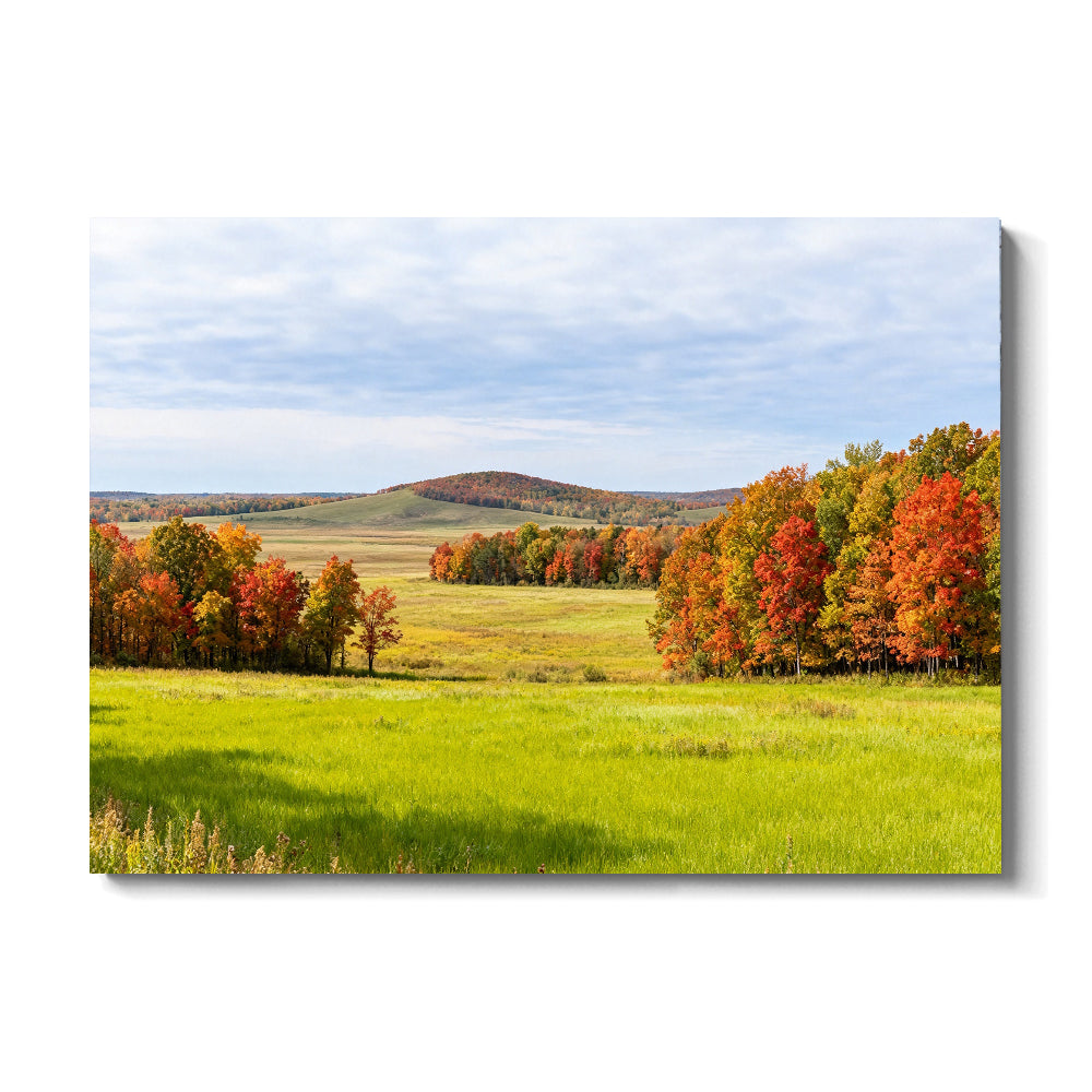 Autumn Trees across Green Fields canvas wall art, front view on a white background.