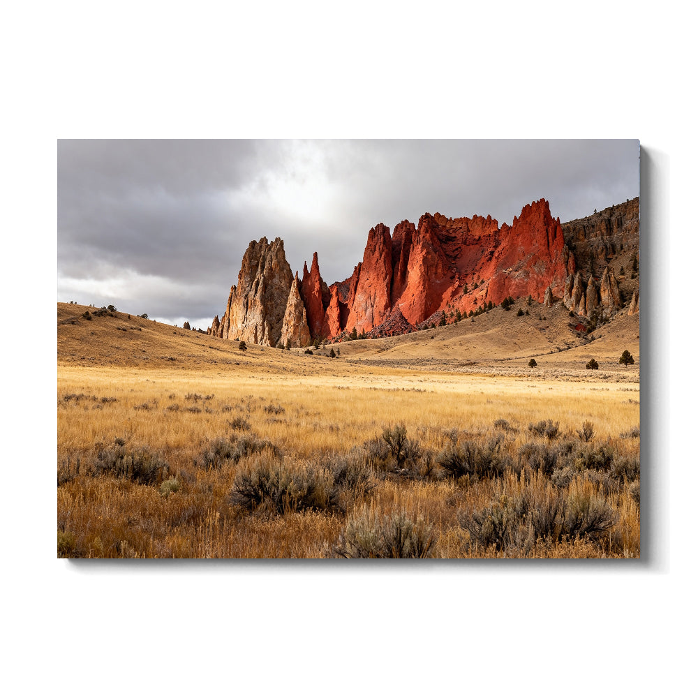 Golden Grass and Red Rock Walls canvas wall art, front view on a white background.