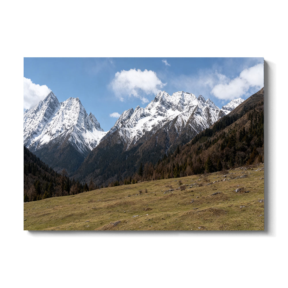 Snowy Ridge above Alpine Grass canvas wall art, front view on a white background.