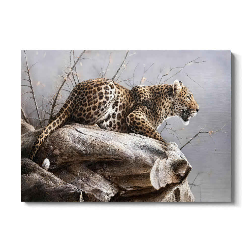 Leopard on a Pale Branch canvas wall art, front product mockup on a light background.